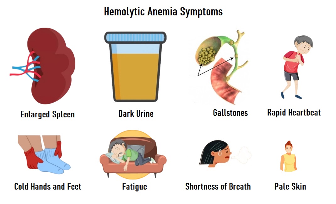 Hemolytic Anemia Symptoms